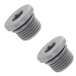 Porsche Panamera Cayenne Differential Drain Plug (16 X 1.5 Mm) 95533205700. Fixed Price $58.25.