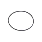 Gm Genuine Parts 15521872 Front Differential Bearing Adjuster O-ring Seal. Fixed Price $15.37.