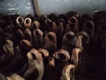 Used 1810 Series Dana Spicer 46 Spline Yoke 6.5-4-3921-1x. Fixed Price $126.75.