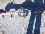 4.10 Ratio Posi Rear Axle From 2004 Dodge Ram 2500 12579285. Fixed Price $1467.69.