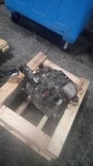 Transfer Case Automatic Transmission 3.2l 6 Cylinder Fits 98-02 Passport. Fixed Price $340.07.