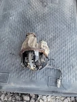 95-04 Toyota Tacoma / 96-02 4runner E-locker Rear Differential Carrier 4.10. Fixed Price $799.90.