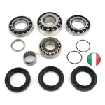 Bmw Xdrive Front Differential Bearing Kit (ina/fag). Fixed Price $299.25.