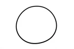 Genuine Acdelco Differential Carrier Oil Seal 89060132. Fixed Price $10.71.