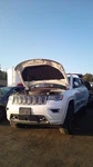Used Differential Carrier Assembly Fits: 2017 Jeep Grand Cherokee Rear 195mm 7.6. Fixed Price $373.74.