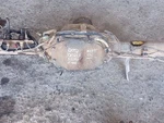 Rear Axle 8.8" Ring Gear 3.55 Ratio Posi From 2019 Ford F150 5.0l 10784129. Fixed Price $1696.69.