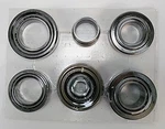 Dana Auto Tech 10040468 Spicer Standard Differential Rebuild Kit. Fixed Price $189.11.