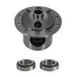 Rear 8.2" Posi Unit 28 Spline 10-bolt Limited-slip Locker For Chevy 1964-1972. Fixed Price $174.30.
