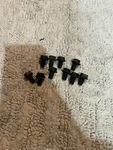 Jeep Transfer Case Pan Bolts O Script Gm 179814 Spicer 18 Dana 20. Fixed Price $45.00.