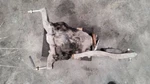18 19 20 21 22 23, Ford Expedition, 8.8" Ring Gear Rear Carrier 3.31 Ratio. Fixed Price $299.99.