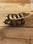 1984 Chevrolet Chevy Van 10 Ten Bolt Rearend Rear Differential Axle Cover Bolts. Fixed Price $25.00.