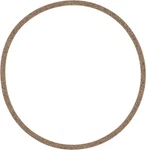 Differential Gasket Set Victor Reinz P37830. Fixed Price $39.04.