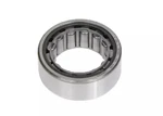 Genuine Gm Front Differential Drive Pinion Gear Bearing 07451870. Fixed Price $58.82.