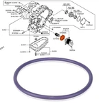 Cvt Transmission Oil Cooler New Seal-o-ring For Nissan 21606-1xf0a 31526-1xf0a. Fixed Price $8.90.