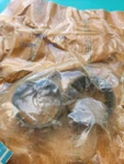 71-79 Chevy Pontiac Olds 10 Bolt Rear Axle Pinion Crush Sleeve Nos Gm 1234726 X2. Fixed Price $15.99.