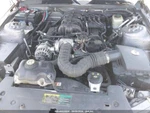 Used Rear Axle Assembly Fits: 2006 Ford Mustang 8.8 Ring Gear Abs 3.31 Ra. Fixed Price $445.00.