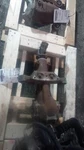 2016 Subaru Impreza 4wd Differential Carrier Assembly Oem 90k Miles Black. Fixed Price $659.99.